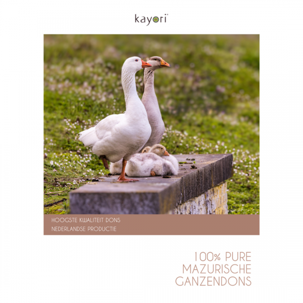 Kayori Umou Ganzendons Dekbed Lente/herfst
