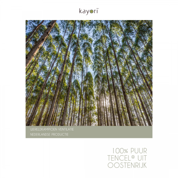 Kayori Juhi Tencel Dekbed Lente/Herfst